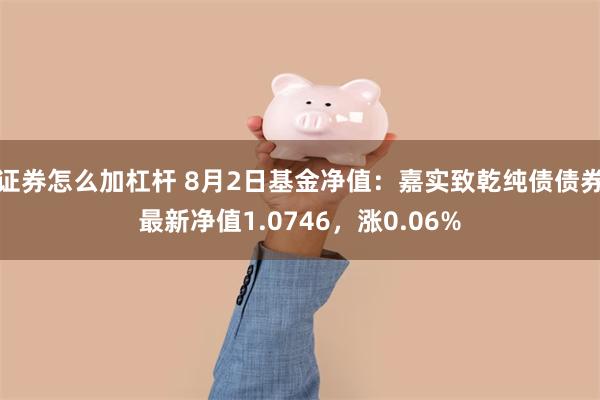 证券怎么加杠杆 8月2日基金净值：嘉实致乾纯债债券最新净值1.0746，涨0.06%