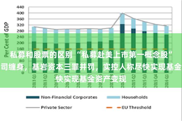 私募和股票的区别 “私募赴美上市第一概念股”竟早已官司缠身，基岩资本三罪并罚，实控人称尽快实现基金资产变现