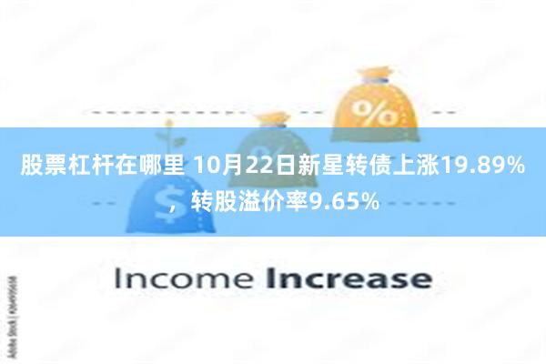 股票杠杆在哪里 10月22日新星转债上涨19.89%，转股溢价率9.65%