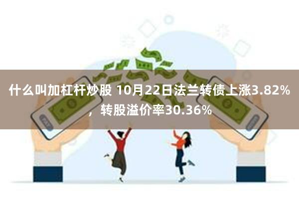 什么叫加杠杆炒股 10月22日法兰转债上涨3.82%，转股溢价率30.36%