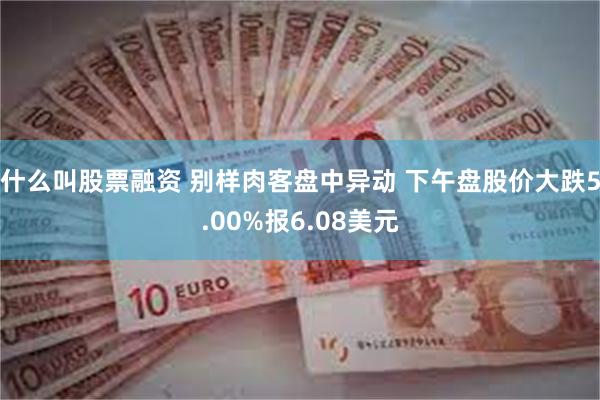 什么叫股票融资 别样肉客盘中异动 下午盘股价大跌5.00%报6.08美元