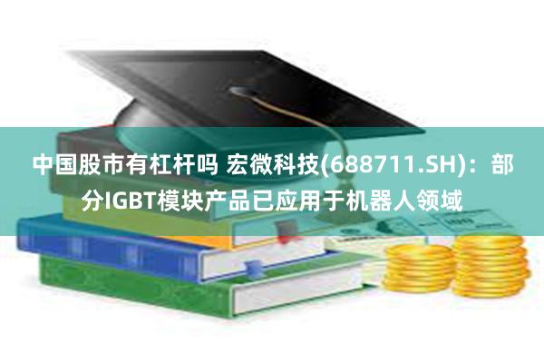 中国股市有杠杆吗 宏微科技(688711.SH)：部分IGBT模块产品已应用于机器人领域