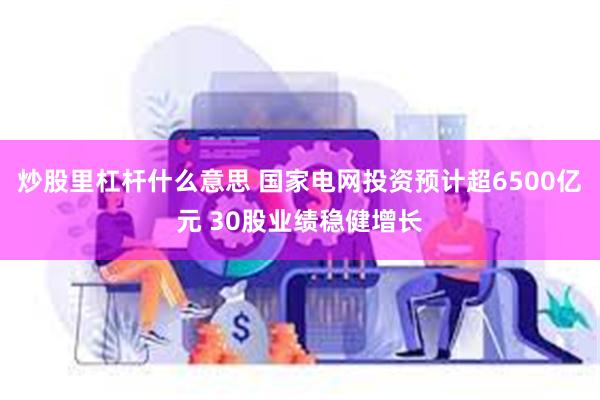 炒股里杠杆什么意思 国家电网投资预计超6500亿元 30股业绩稳健增长