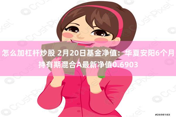 怎么加杠杆炒股 2月20日基金净值：华夏安阳6个月持有期混合A最新净值0.6903